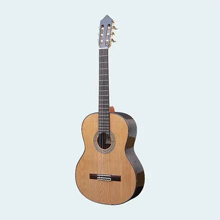 guitarra flamenca granada principal